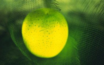 Картинка еда Яблоки