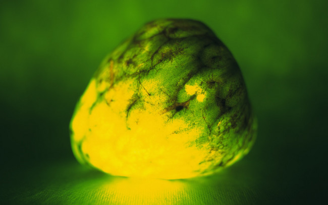 Обои картинки фото еда, артишок