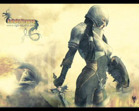 Картинка knight dragon видео игры