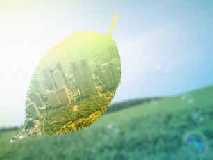 Картинка разное компьютерный дизайн