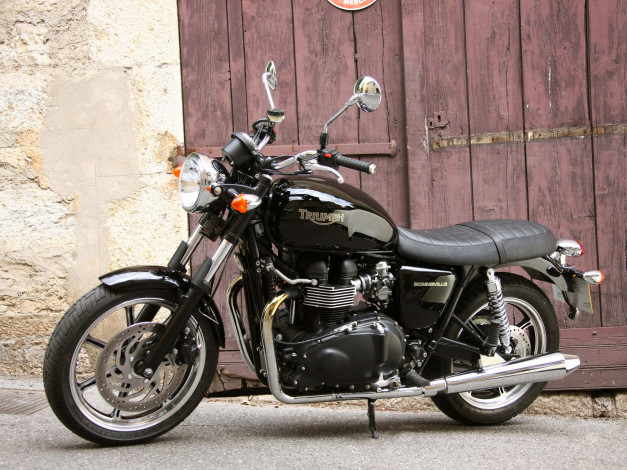 Обои картинки фото мотоциклы, triumph