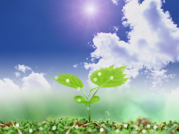 Обои картинки фото разное, компьютерный, дизайн