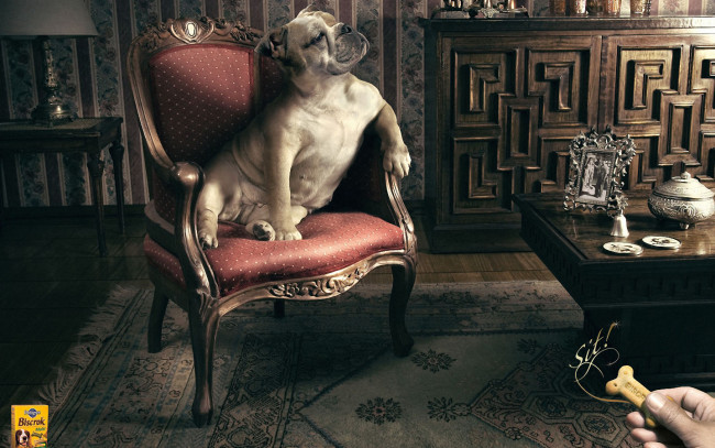 Обои картинки фото юмор, приколы