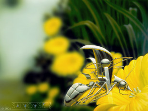 обоя фэнтези, существа