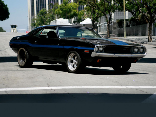 Обои картинки фото challenger, автомобили, dodge