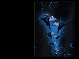 Картинка 3д графика animals животные птицы тёмный