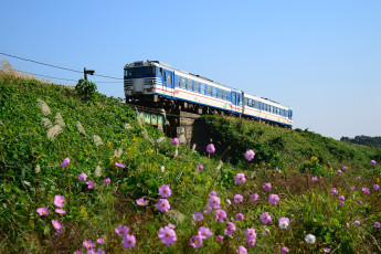 Картинка техника поезда мост поезд