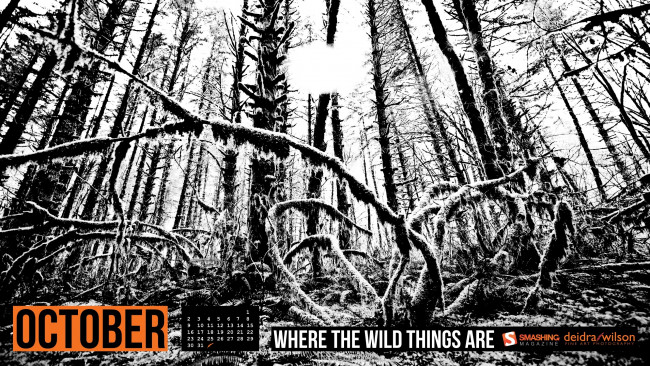 Обои картинки фото календари, природа, деревья, лес, черно-белый