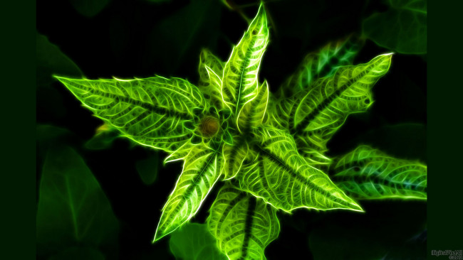 Обои картинки фото 3д, графика, flowers, цветы, фон, цвета, узор