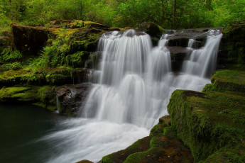 Картинка природа водопады деревья скалы мох