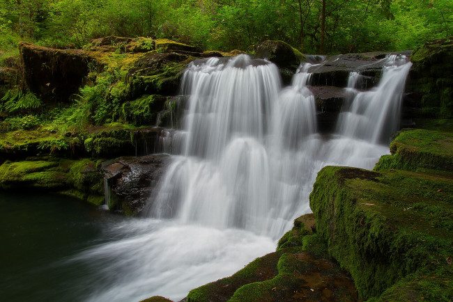 Обои картинки фото природа, водопады, деревья, скалы, мох