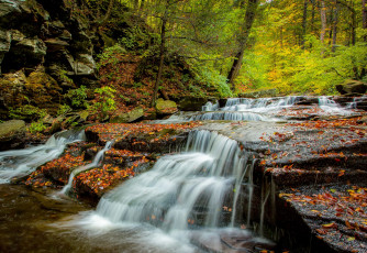 Картинка природа водопады лес водопад река