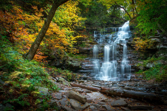 Картинка природа водопады водопад река лес