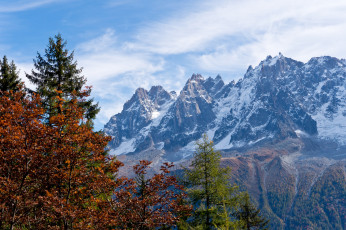 Картинка природа горы деревья