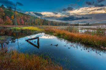 Картинка природа реки озера река лес