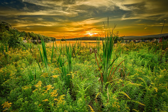 Картинка природа восходы закаты заря