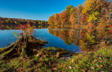 Картинка природа реки озера река лес