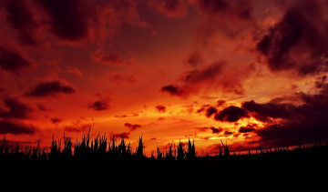 Картинка природа восходы закаты закат