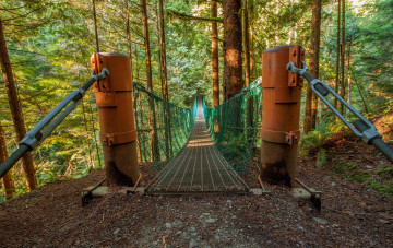 Картинка природа дороги мостик лес