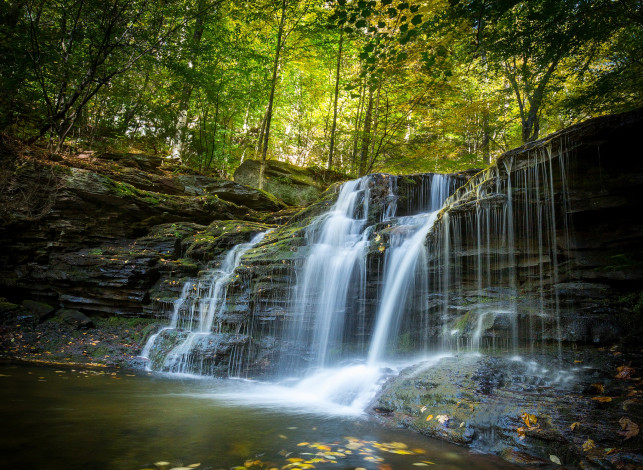 Обои картинки фото природа, водопады, водопад, лес, река