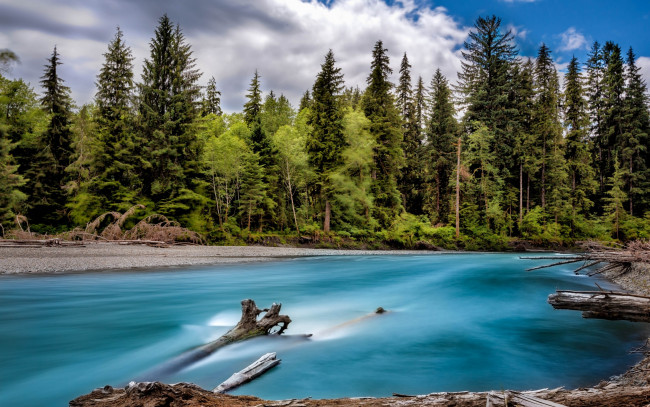 Обои картинки фото природа, реки, озера, река, берега, лес, деревья, штат, вашингтон, сша