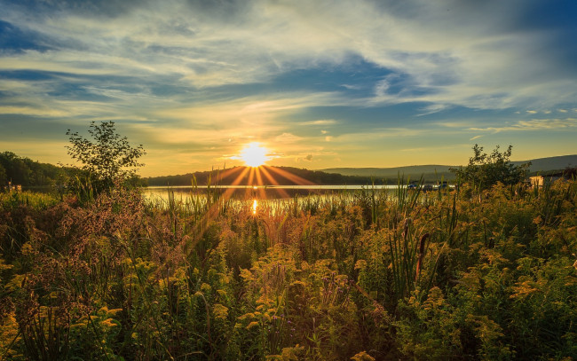 Обои картинки фото природа, восходы, закаты, свет, солнце, камыш, лучи, река