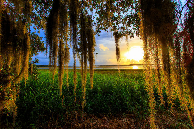 Обои картинки фото природа, восходы, закаты, рассвет