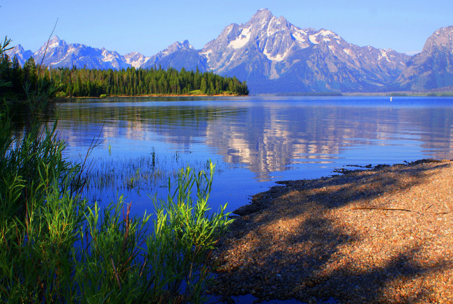 Обои картинки фото природа, реки, озера, деревья, отражение, озеро, горы, сша, вайоминг, grand, teton, national, park, снег, небо