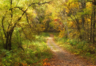 Картинка природа дороги тракт