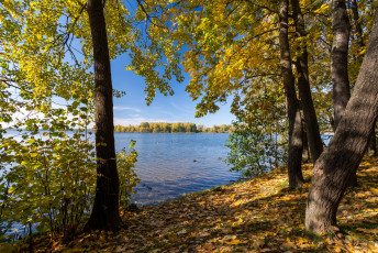 Картинка природа реки озера река лес