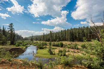 Картинка природа реки озера простор