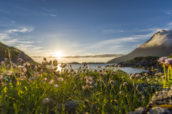 Картинка природа восходы закаты рассвет