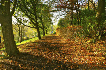 Картинка природа дороги тракт