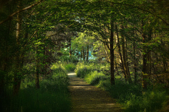 Картинка природа дороги тракт