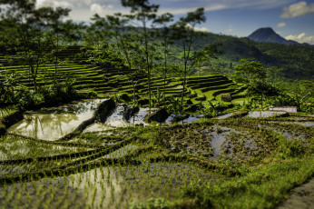 Картинка природа горы террасы