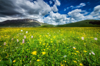 Картинка природа луга простор