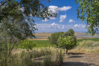 Картинка природа пейзажи флора