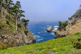 Картинка природа побережье берег море