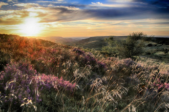 Картинка природа восходы закаты рассвет