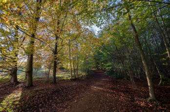 Картинка природа дороги тракт