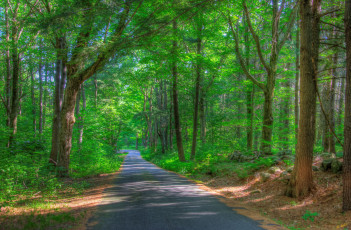 Картинка природа дороги тракт