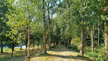 Картинка природа дороги тракт