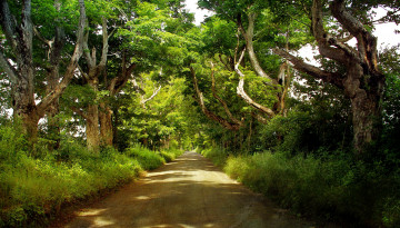 Картинка природа дороги тракт