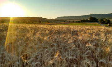 Картинка природа восходы закаты рассвет