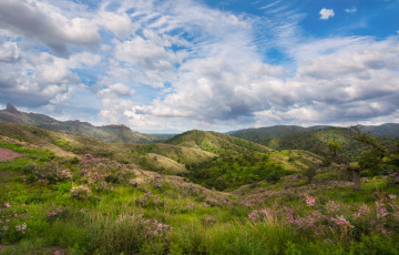 Картинка природа пейзажи простор