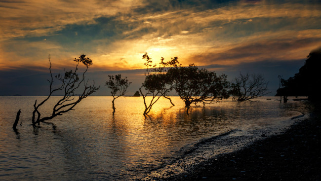 Обои картинки фото природа, восходы, закаты, рассвет