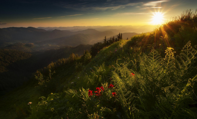 Обои картинки фото природа, восходы, закаты, рассвет