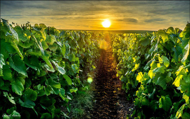 Обои картинки фото природа, восходы, закаты, рассвет