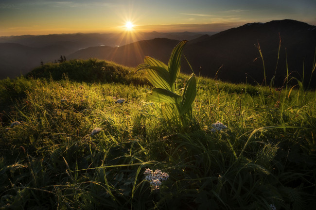 Обои картинки фото природа, восходы, закаты, рассвет