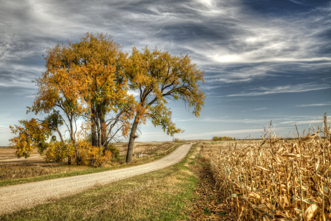 Обои картинки фото природа, дороги, тракт